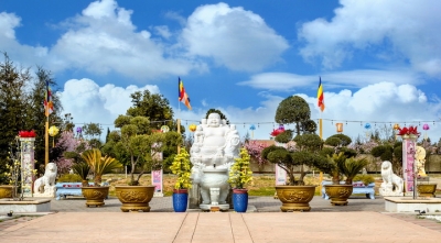 TOUR HÀNH HƯƠNG 1 NGÀY - THAM QUAN VƯỚN TÁO TÀU 01 THÁNG 11, 2025